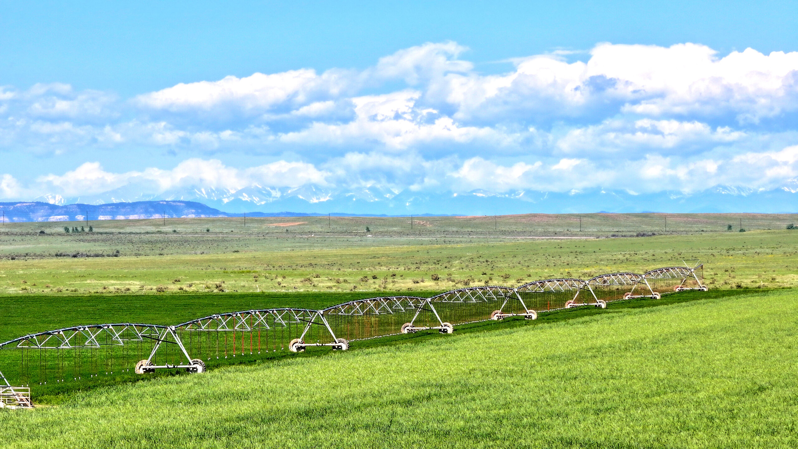 Oasis Farms